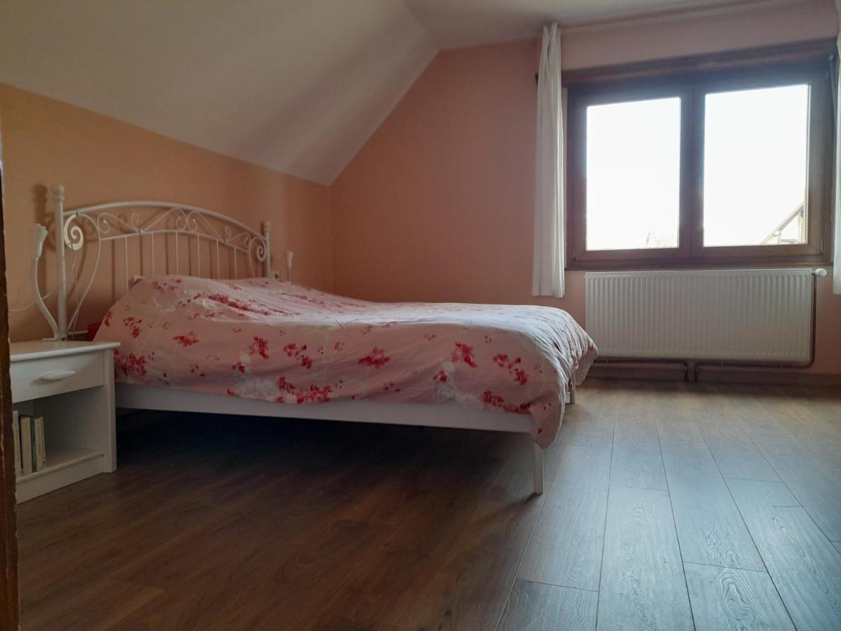 Appart 4 Pers Refait Neuf 90M2 Avec Balcon Baldenheim Exterior foto
